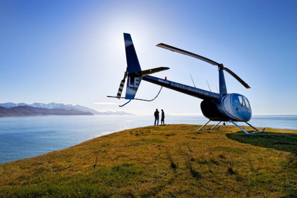 Whalewatch kaikoura helicopters scenic flights